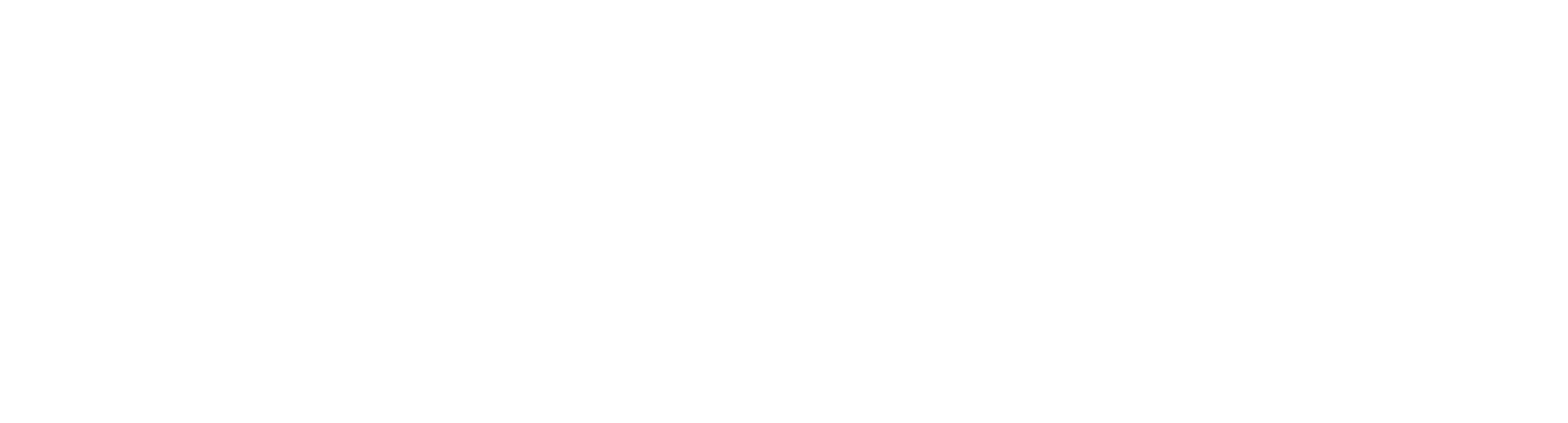 DoSys_Logo_Blanco